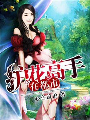 护花高手在都市乔小乔
