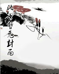 上门女婿岳风