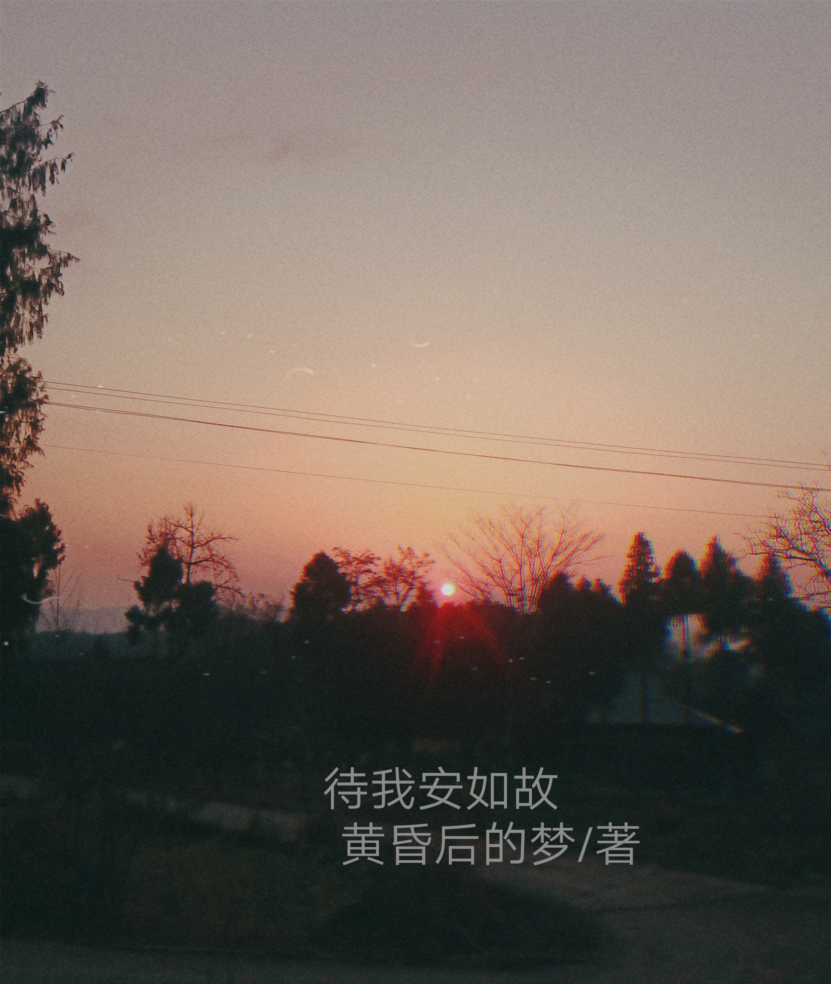 待我安如故